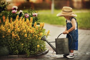 Wasser sparen im Sommer - So gießt du richtig