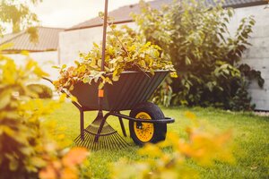 Rasen- und Heckenpflege im Herbst 