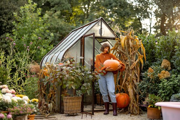 Die schönsten Herbstschmuckpflanzen & Ideen für deine herbstliche Deko