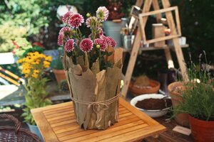 DIY Blumentopf mit Rinde 