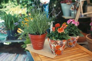 Blumentopf-Upcycling mit Servietten-Technik