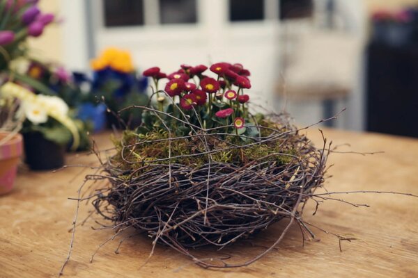 Frühlingsdekoration Nest aus Birkenzweigen