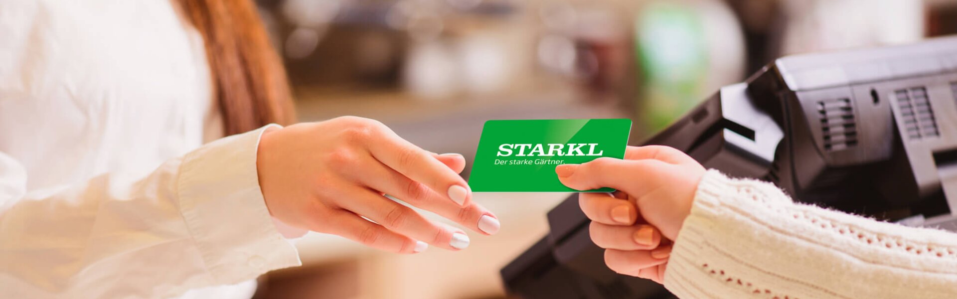 Drag Image Here Drag Image Here