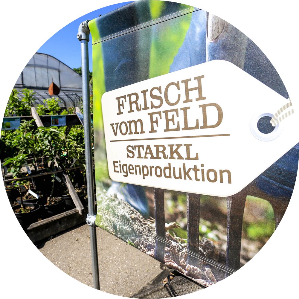 Gartencenter & Gartengestaltung Aschbach | STARKL