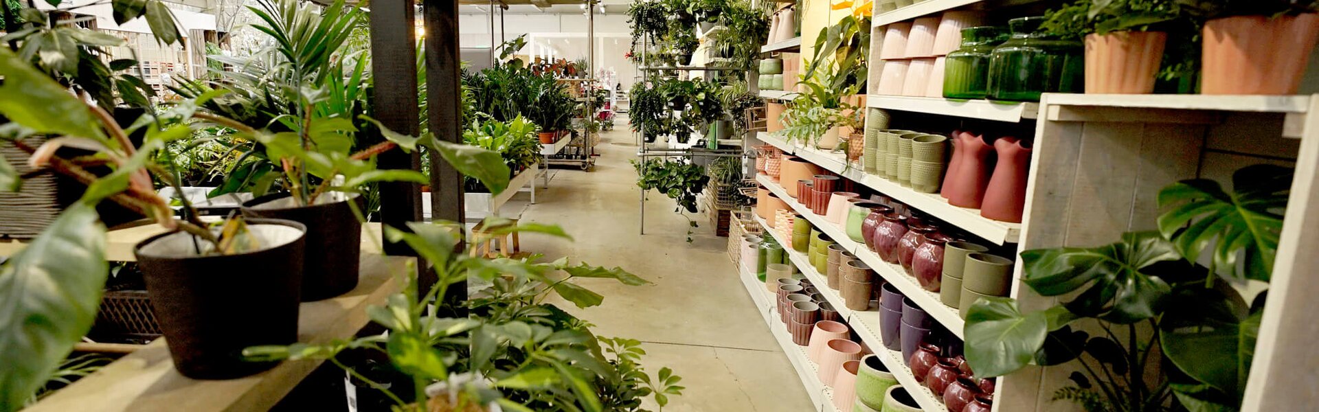 Drag Image Here Drag Image Here