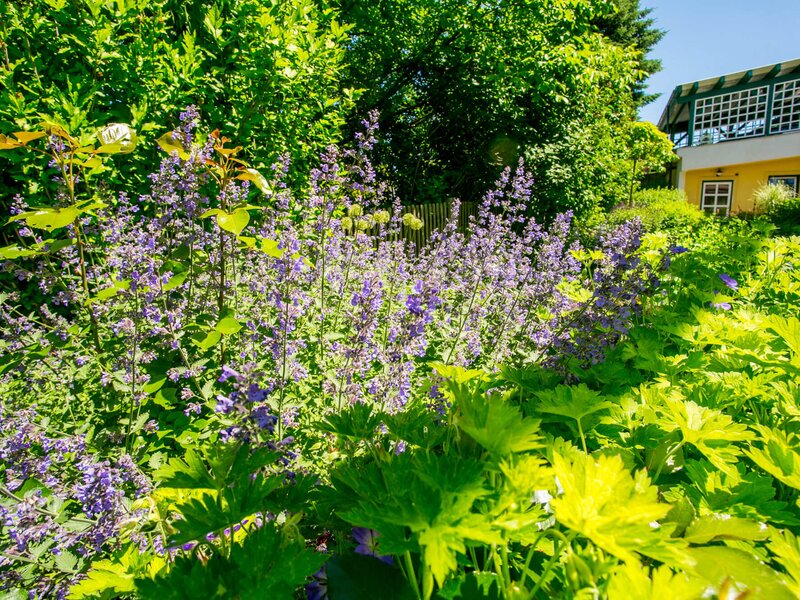 Der Familiengarten