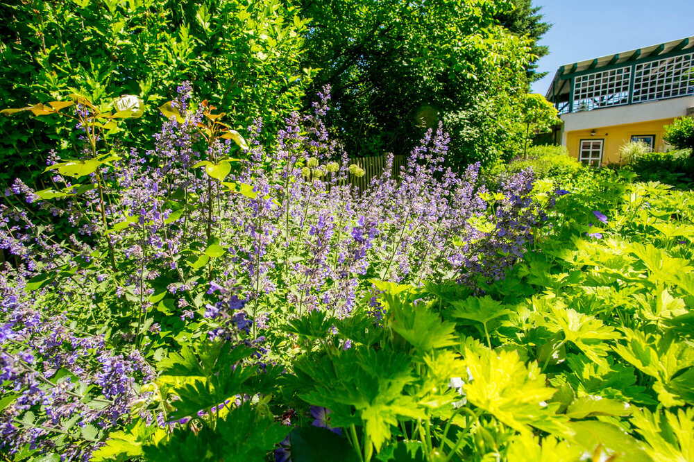 Der Familiengarten