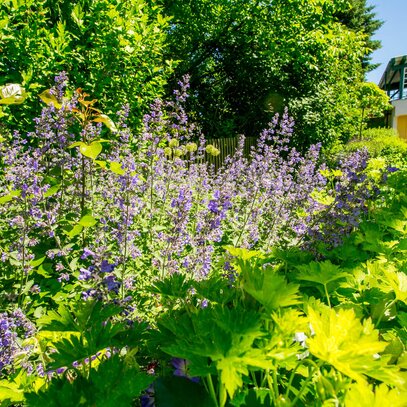 Der Familiengarten