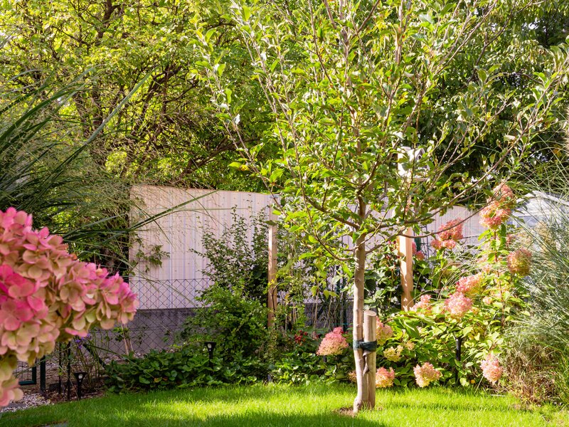 Kleiner Wohnungsgarten