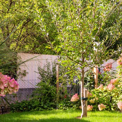 Kleiner Wohnungsgarten