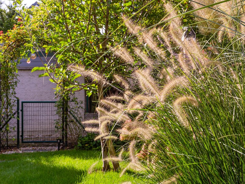 Kleiner Wohnungsgarten