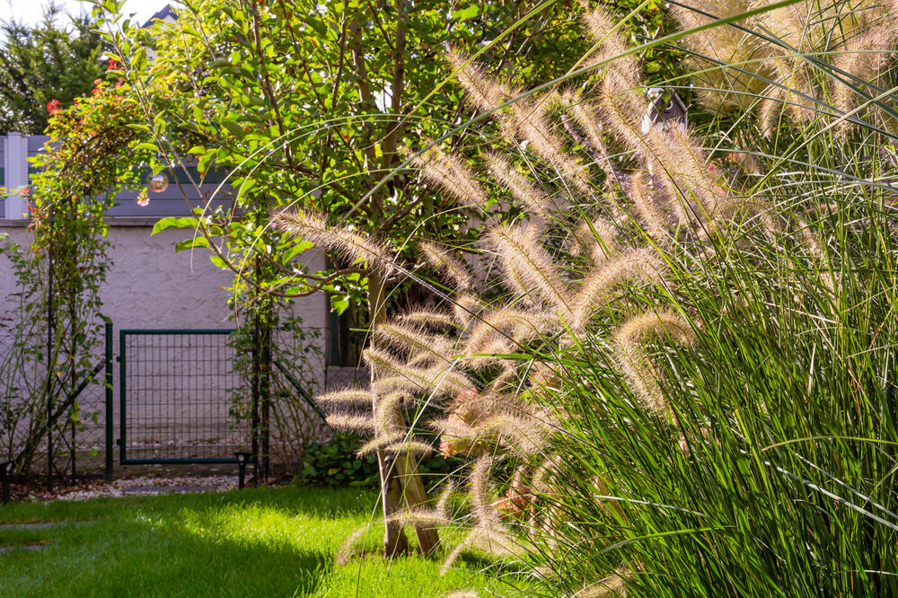 Kleiner Wohnungsgarten