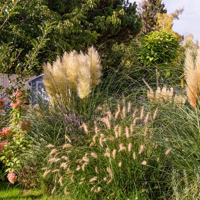 Kleiner Wohnungsgarten