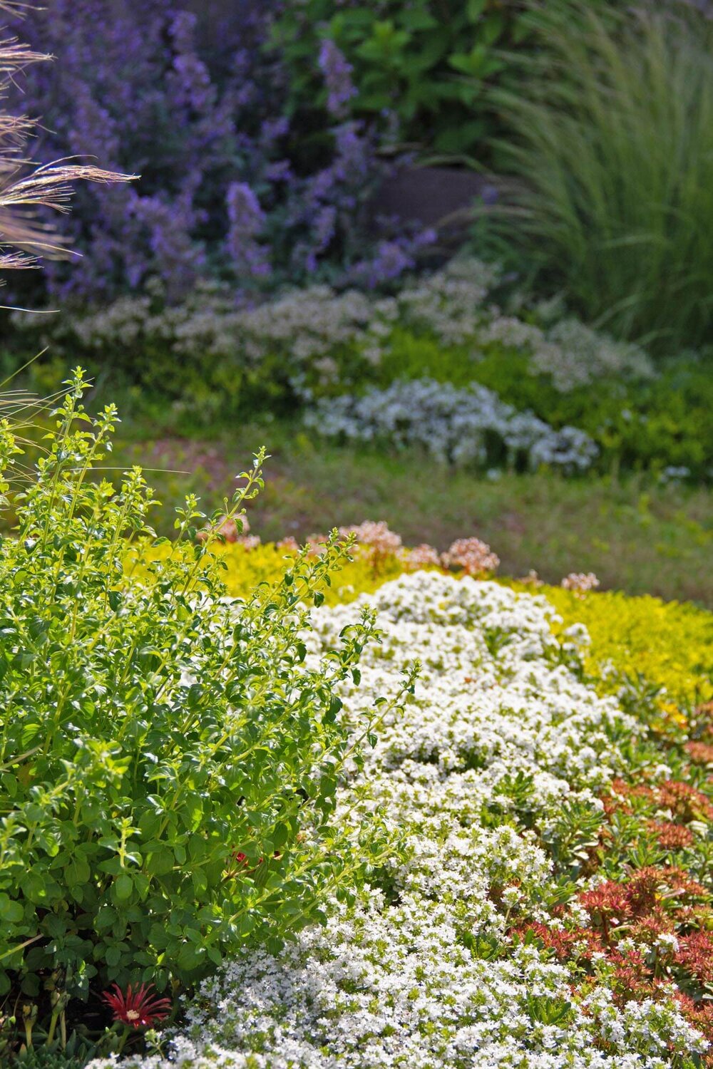 Terrassengarten