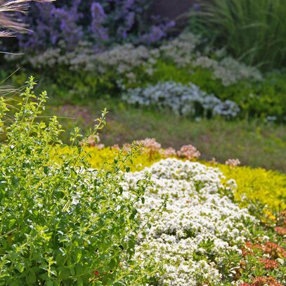 Terrassengarten