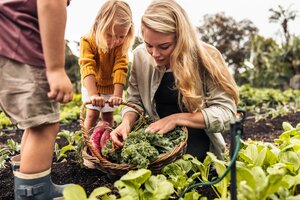 Wichtige Tipps für Gemüsegärtner